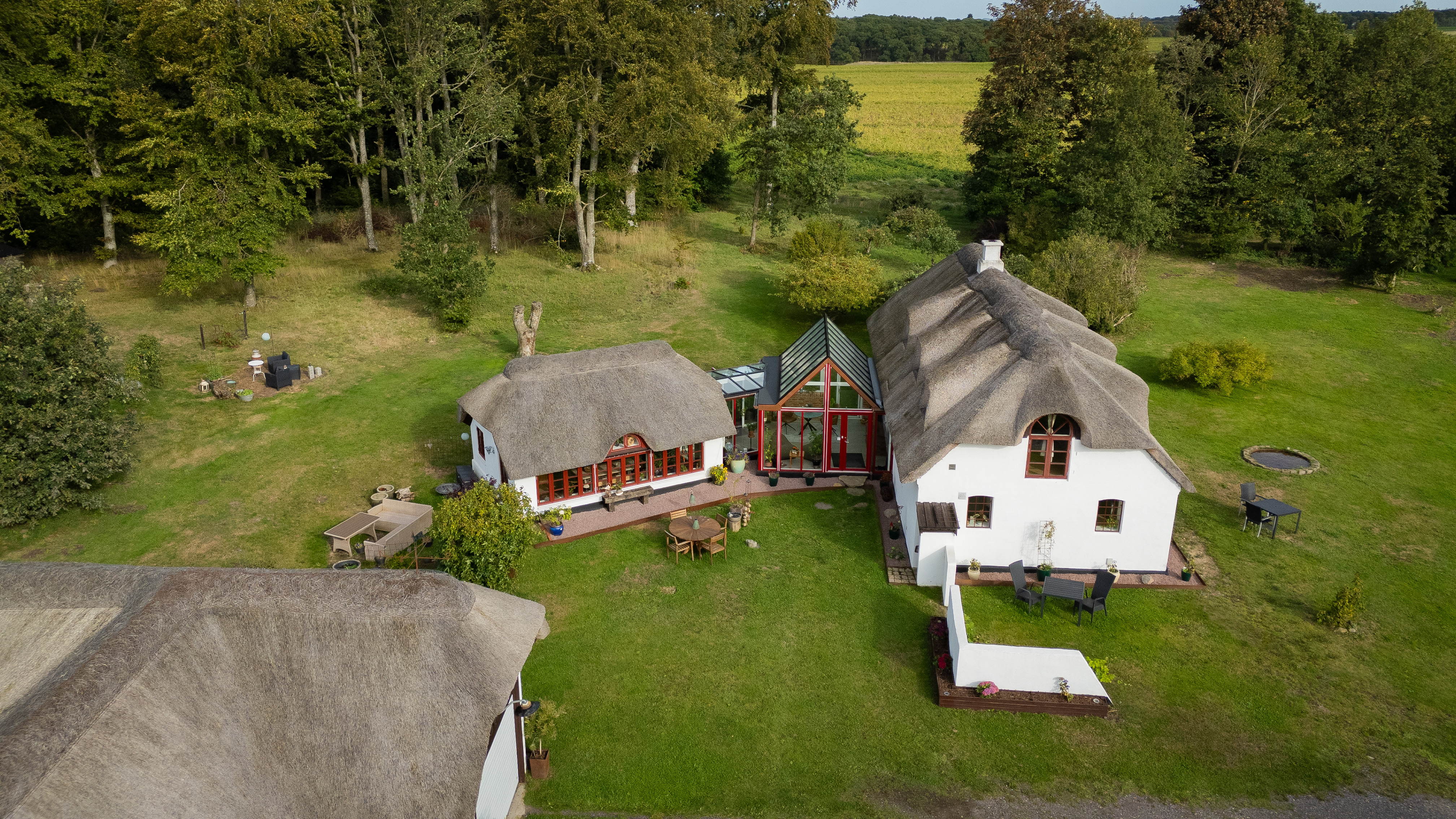 Luftfoto af hele ejendommen inkl. have og skov i baggrunden