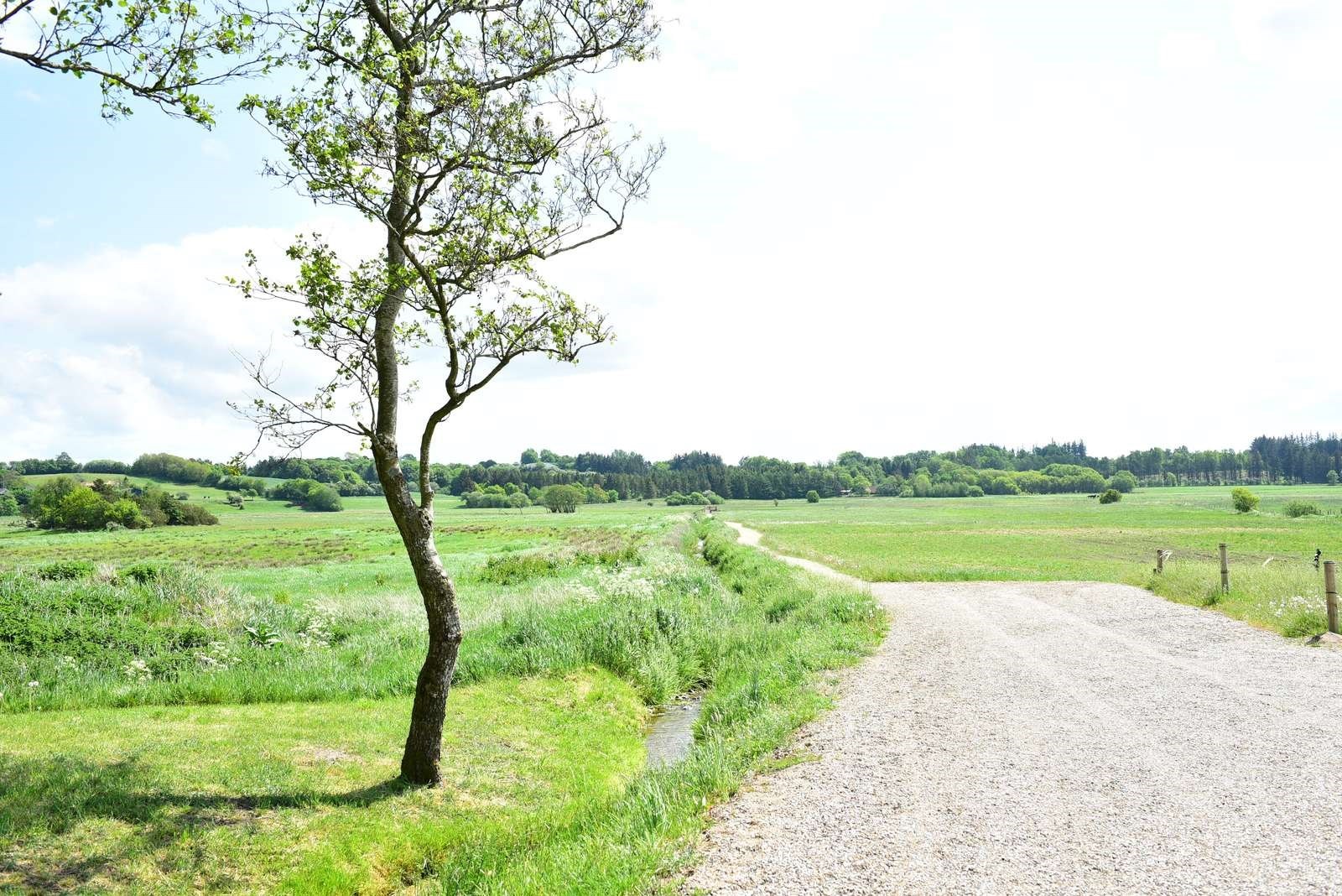 Smuk anlagt sti i ådal.