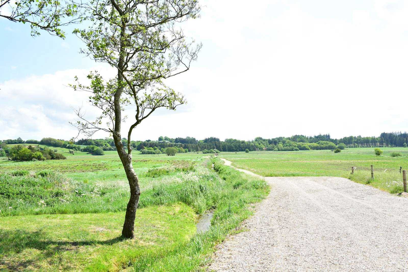 Smuk anlagt sti i ådal.