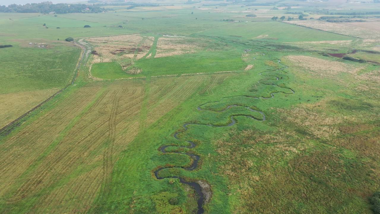 Luftfoto af vådområde med vandløb.