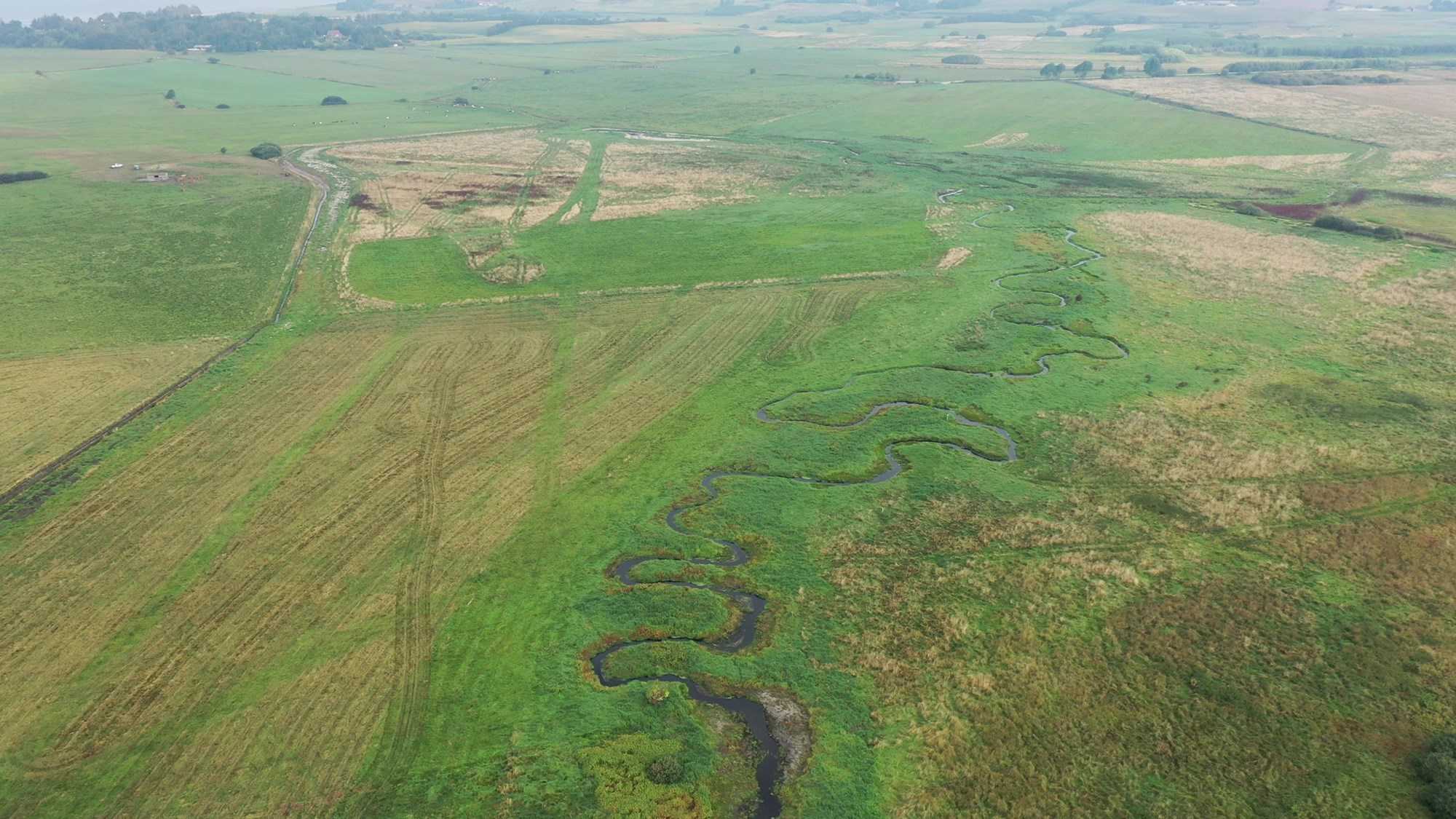 Luftfoto af vådområde med vandløb.