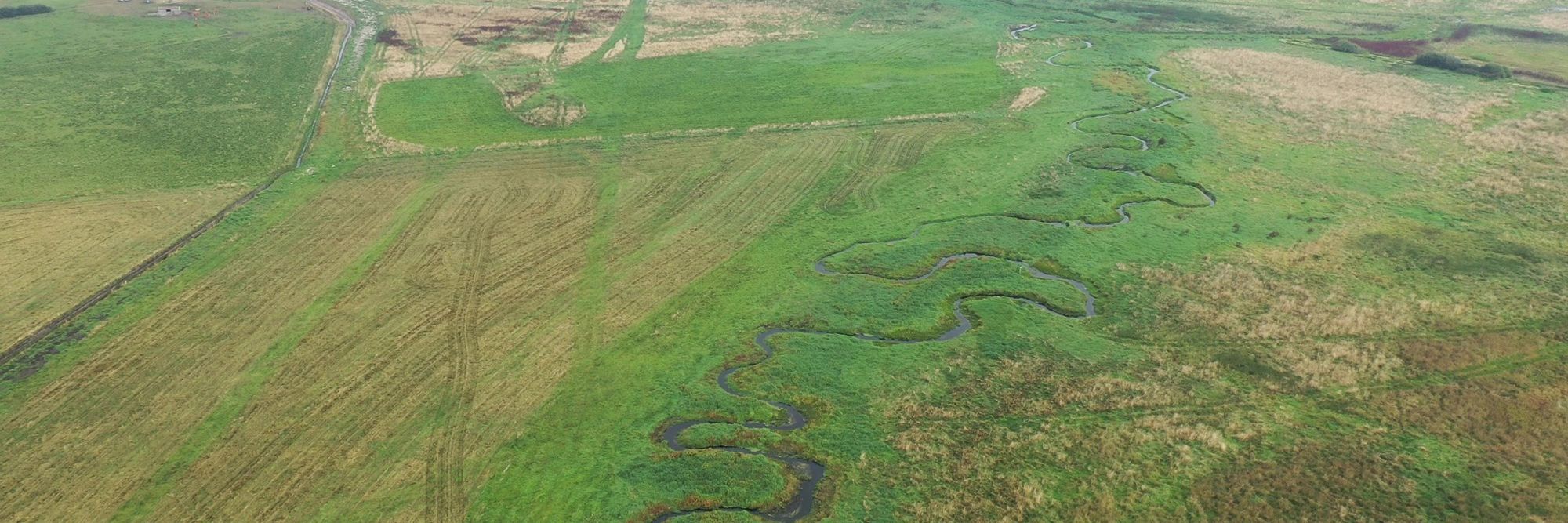 Luftfoto af vådområde med vandløb.
