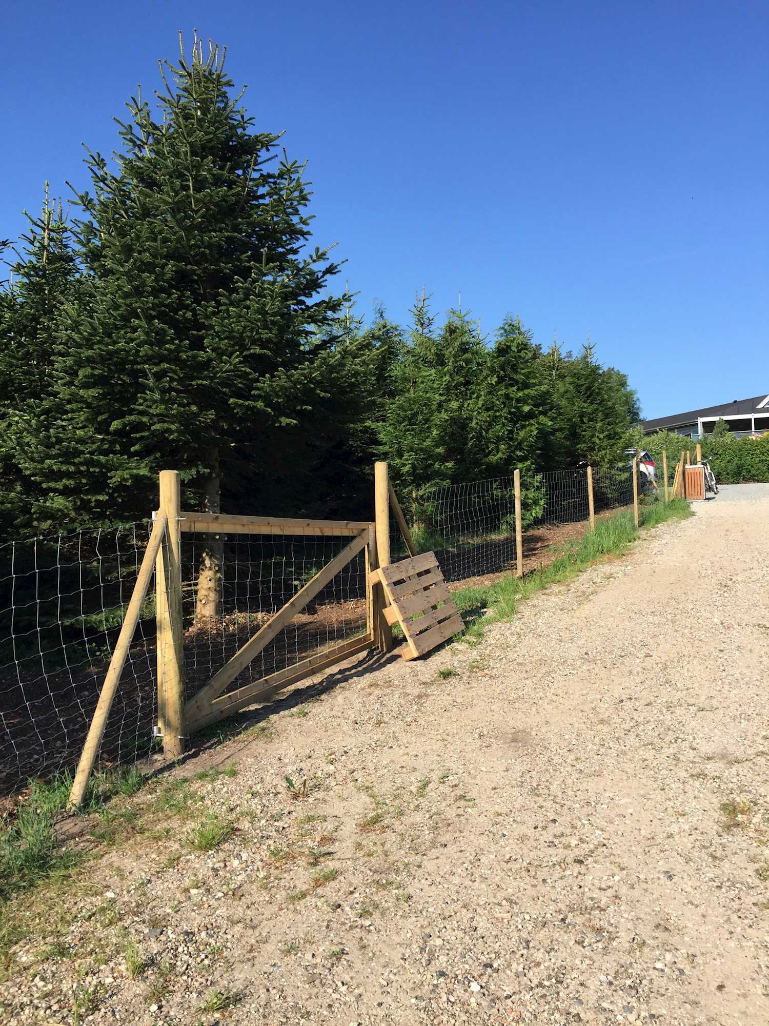 Hundeskoven med hegn