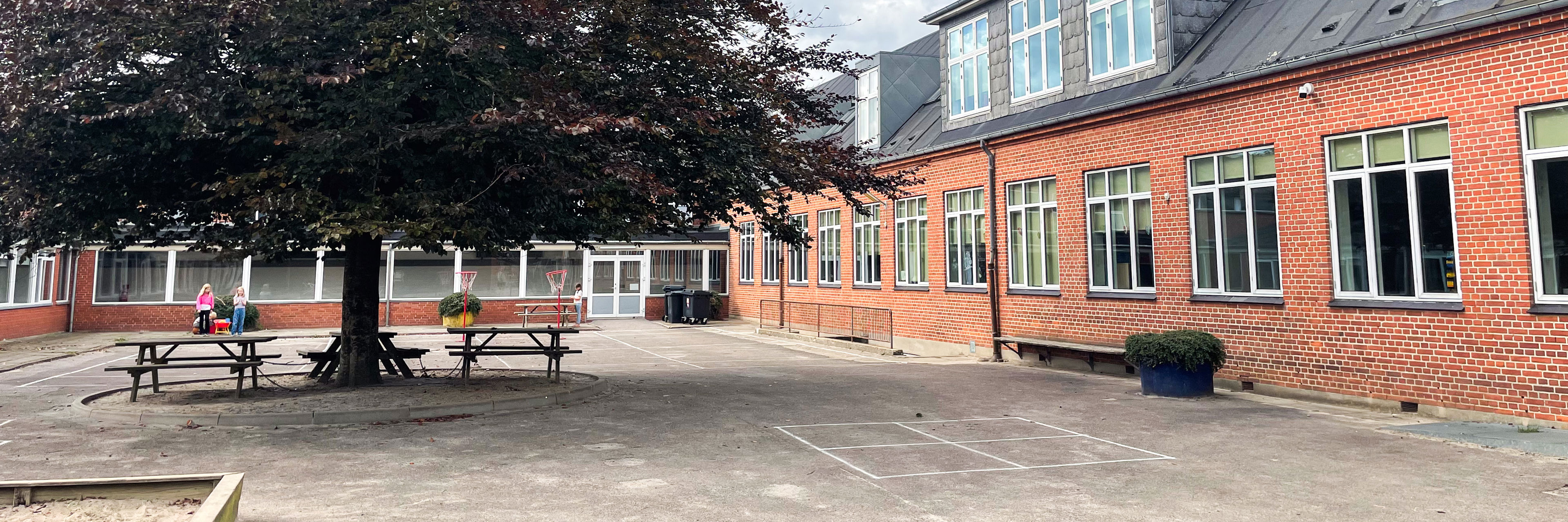 Skolegård med asfalt, sandkasse og stort træ