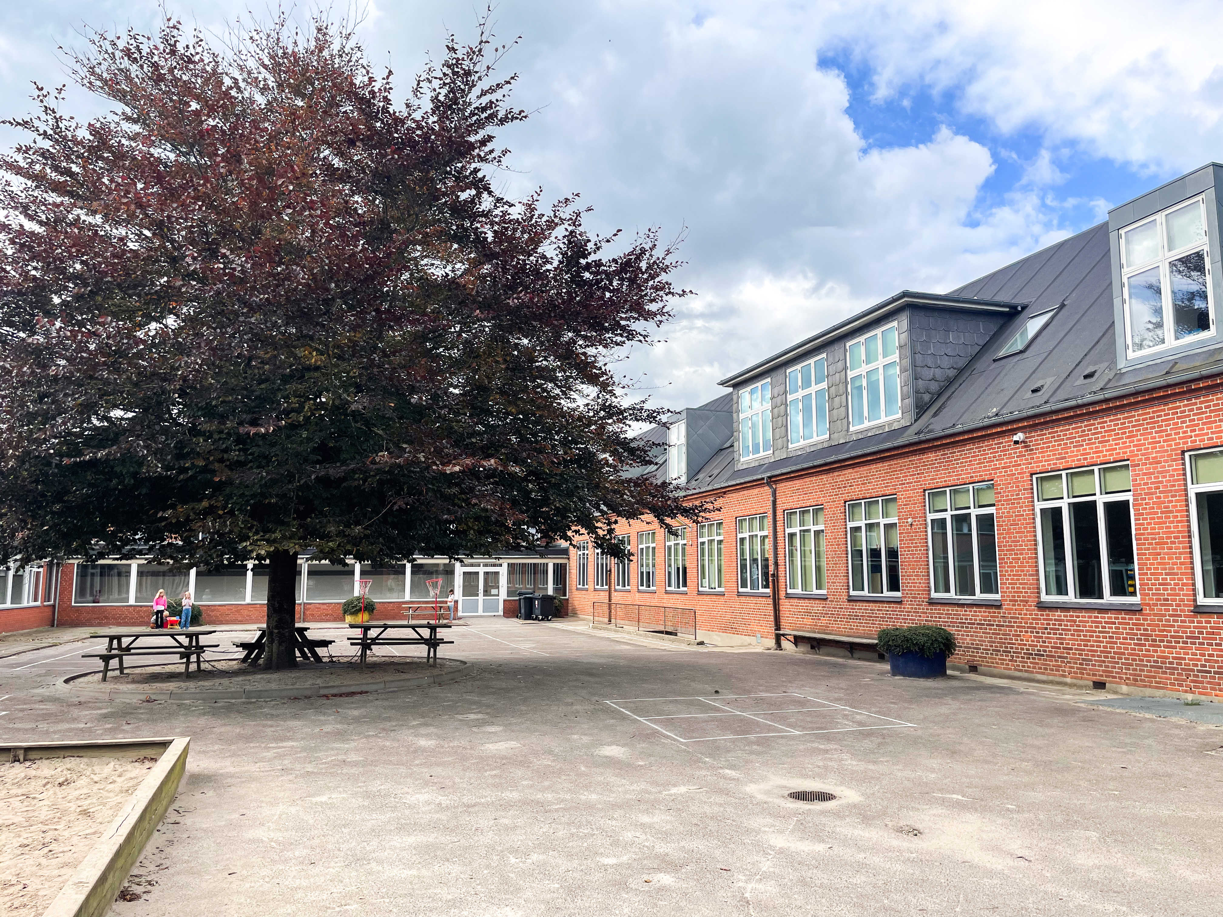 Skolegård med asfalt, sandkasse og stort træ