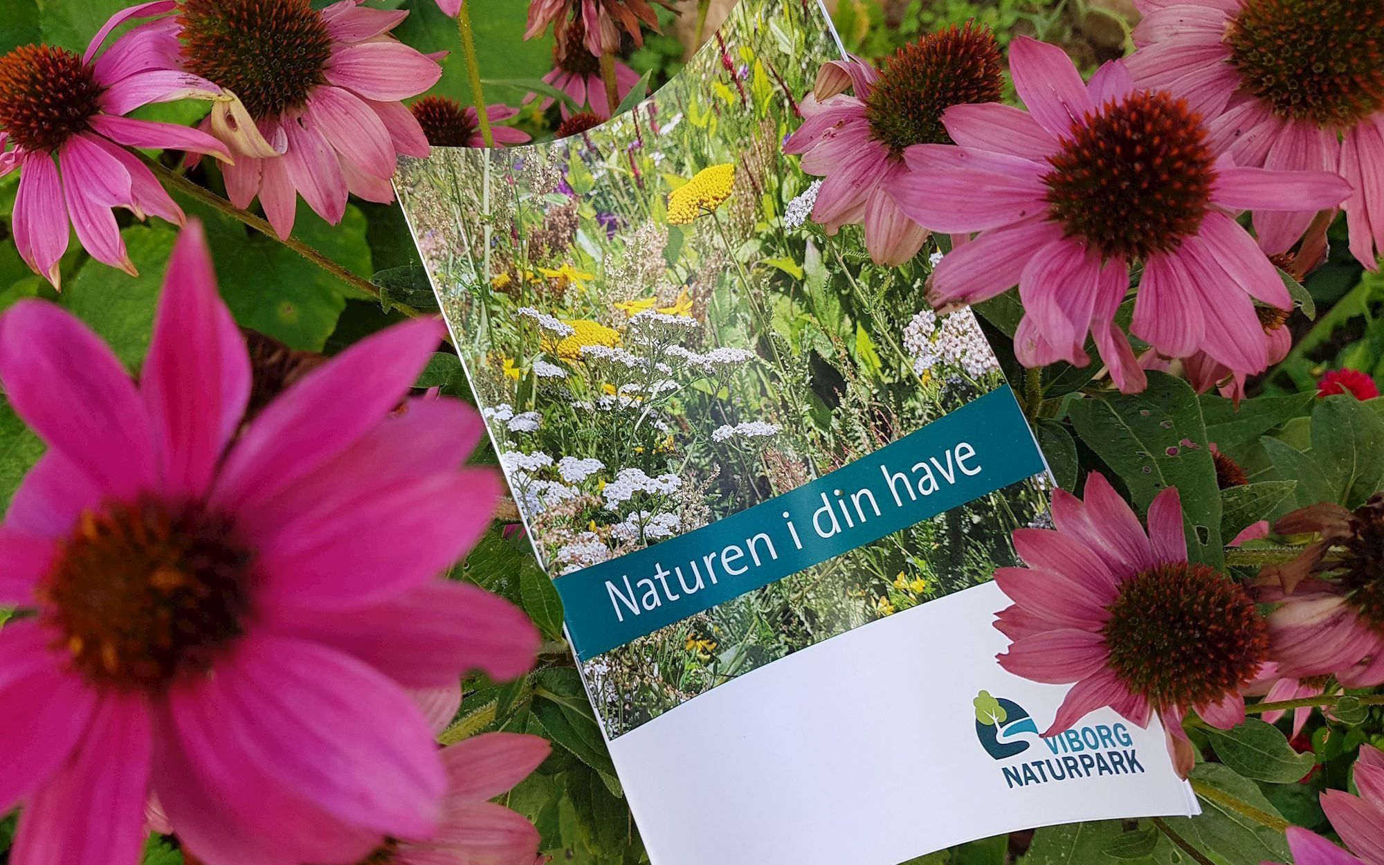 Hæfte der hedder Naturen i din have