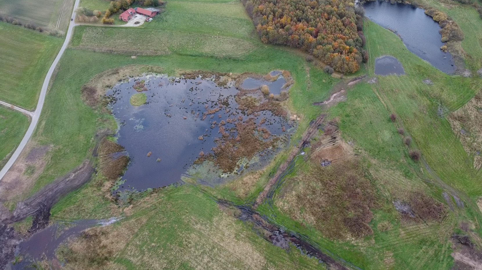 Luftfoto af vådområde