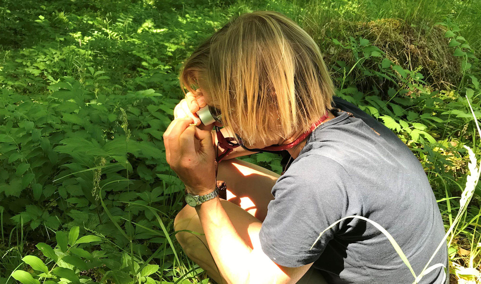 Biolog studerer planter