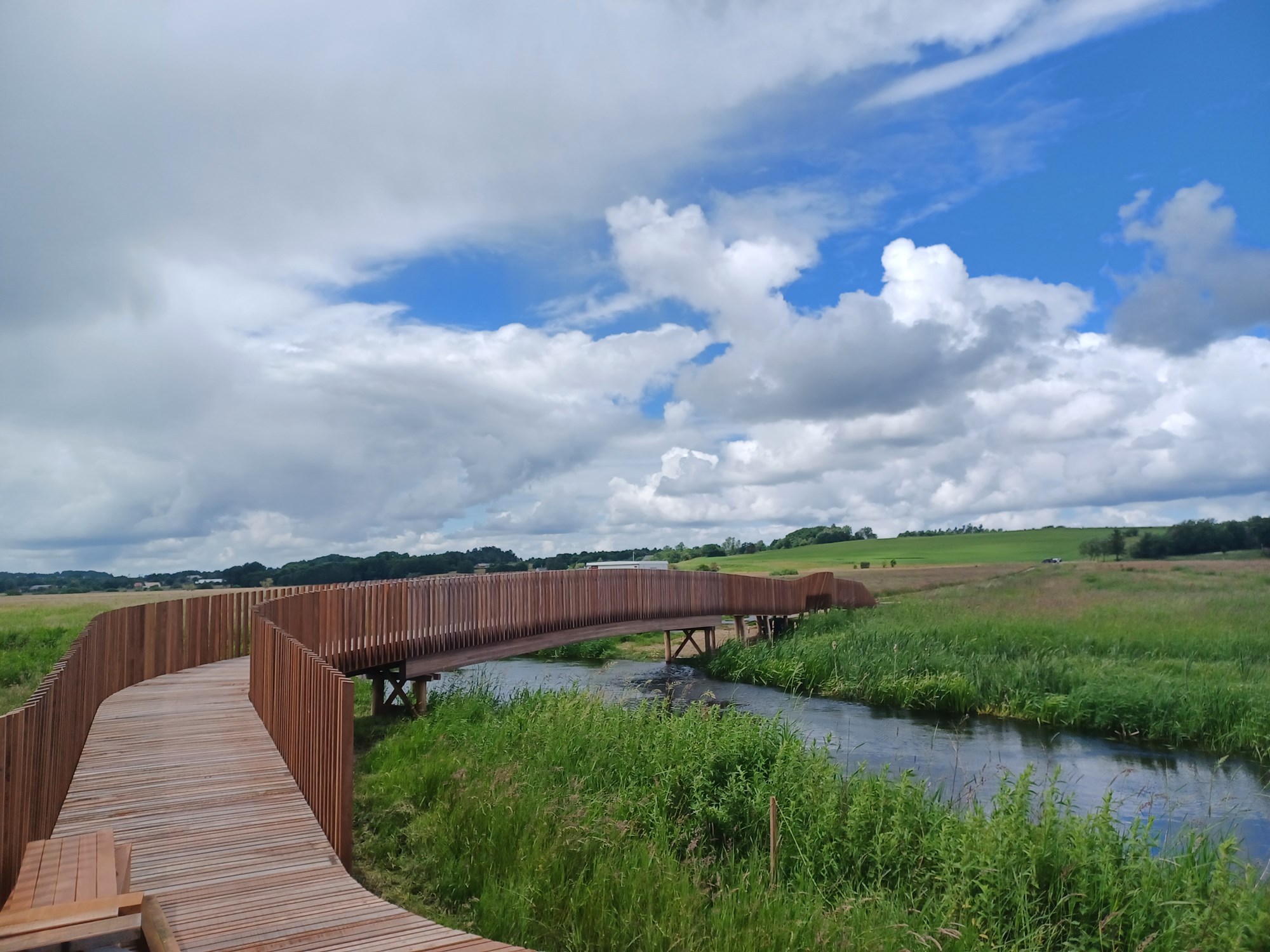 Træbro over vandløb