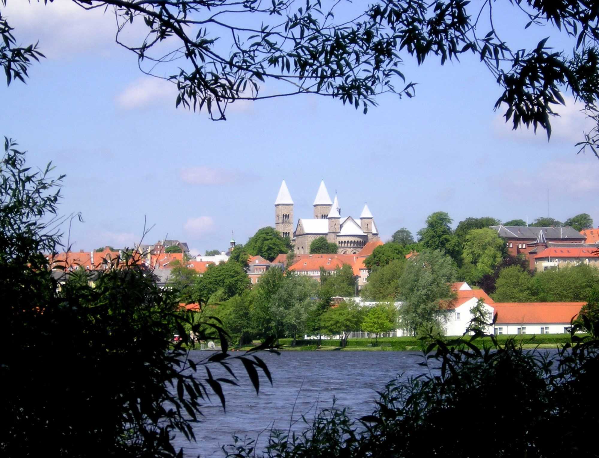 Viborg Domkirke