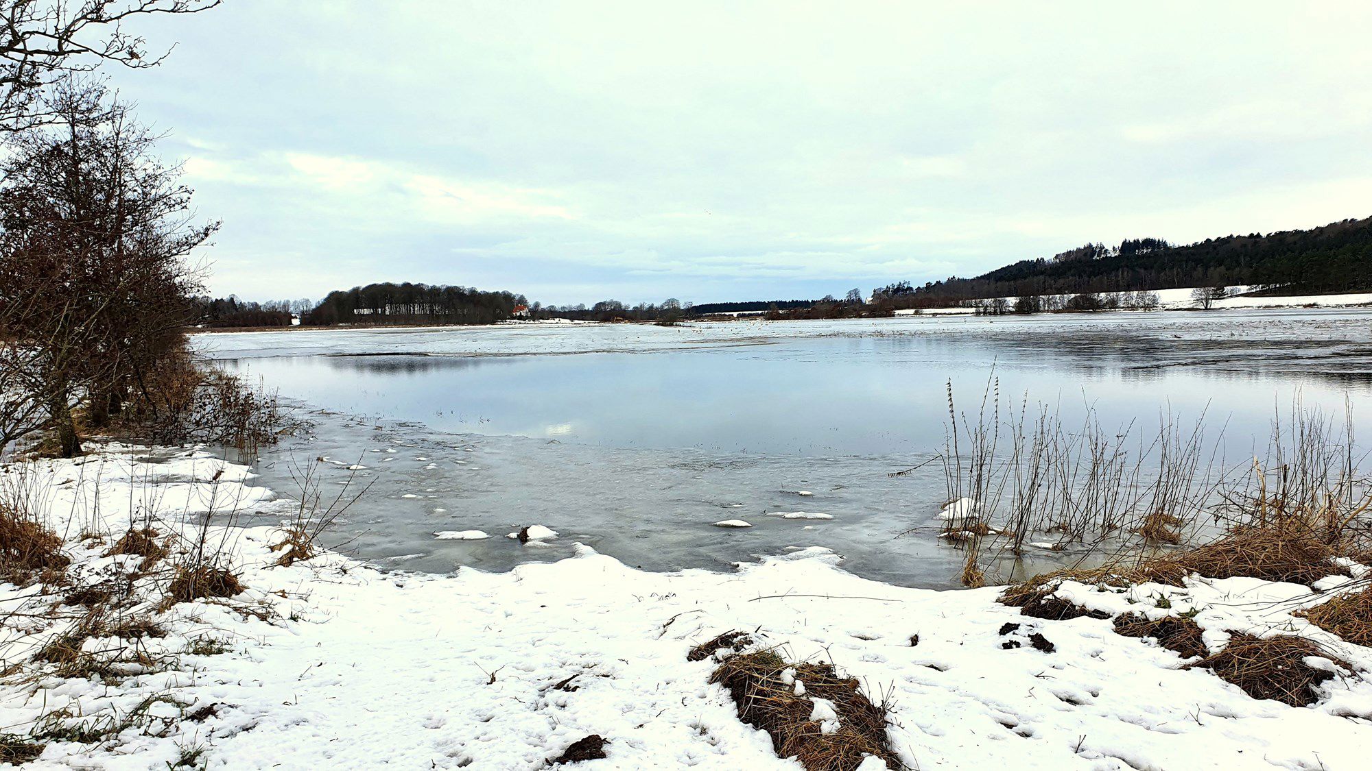 Vinterbillede ud over en sø
