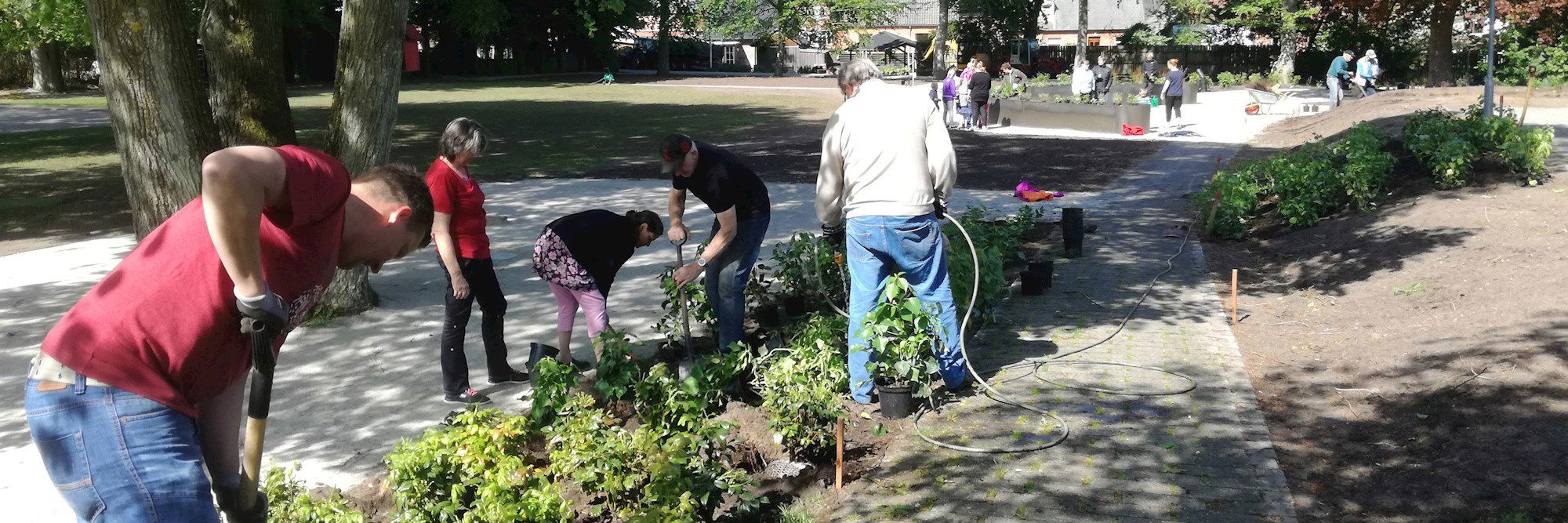 Plantedag 25.05.2017